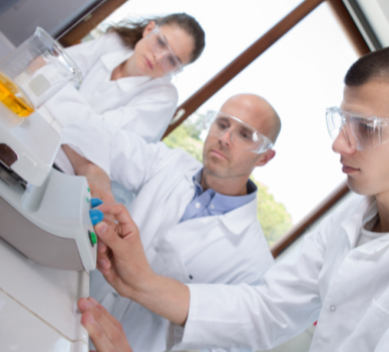 digital legal for trade scales