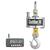 Chatillon CTR-6K-N Digital Crane Scales w/ NIST Cert, 6600 lb x 1 lb