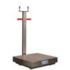 CAS TRS-500S Transit Fixe