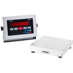 Doran 2200 Legal For Trade Advanced Washdown Bench Scale 2200 Series