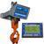 Intercomp CS1500RFX - 184512-RFX LCD Crane Scale w/Handheld RFX Indicator, 10000 x 5 Ib Intercomp CS1500RFX - 184