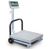 TorRey FS 500/1000 Legal for Trade Mobile Shipping Receiving Scale 1000 x 0.2 lb TorRey FS 500/1000 Legal