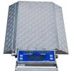 Intercomp 181503 - PT300DW (Double Wide) Wheel Load Scales with Solar Panels (20mA) 20000 x 20 lb
