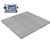 Cambridge 660608420S MODEL SS660-OB NTEP Low Profile 60x84x4 Stainless Steel Floor Scale 20000 x 4 l Cambridge 660608420S MODE