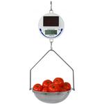 Detecto SCS30 Detecto SCS30 Solar-Powered Legal for Trade Hanging Scale
