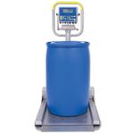 Fairbanks 97672 Aegis Transport Scale Stainless Steel with FB2250SS 1000 x 0.1 lb