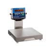Fairbanks 93801 QuickSilver 10 x 10 in Food Service Scale 2 x 0.0005 lb Fairbanks 93801 QuickSilv