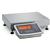Minebea MW2S1U-30FE-L Midrics Complete Bench 19.5 x 15.75 Stainless Steel Scales 60 x 0.005 lb Minebea MW2S1U-30FE-L Mid