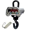 CAS CAST2-PLUS(1K) Caston II Plus Digital Crane Scale, 1000 x 0.5 lb CAS CAST2-PLUS(1K) Caston