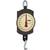 Chatillon BD-400 Mechanical Hanging Scale, 400 lb x 1 lb