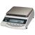 Rice Lake TP-8200 Tuning Fork Precision Balance 8200 x 0.1 g Rice Lake TP-8200 Tuning
