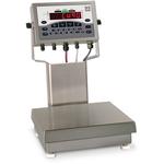 Rice Lake Checkweigh CW-9 Checkweighing Scale0 Checkweigh CW-90