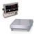 Rice Lake IQ plus® 2100SL 65169 Legal for Trade 10 x 10 inch Bench Scale with Tilt Stand 10 lb x 0.0 Rice Lake IQ plus® 2100SL
