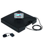 Detecto APEX-RI-AC Physician Scale With Remote Display and AC adapter Included Legal For Trade 600 x Detecto APEX-RI-AC Physic