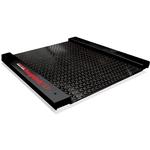 Rice Lake Roughdeck BDP Mild Steel Drum Scales Roughdeck BDP