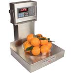 Pennsylvania Scale 6200 Legal for Trade Checkweigher & Bench-Scale Scales TBS Legal For Trade