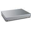 Minebea ISIGG-300-HV1 IS Platform 32 x 24 inch Painted Steel (Base Only) -300 kg x 2 g