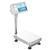 Adam Equipment BCT-130a Advanced Label Printing 11.8 x 15.7 inch Scale 130 x 0.005 lb
