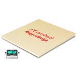 Detecto FH-555F-185 Floor Hugger Heavy-Duty 5 x 5 Floor Scales 5000 x 1 lb Detecto FH-555F-185 Floor
