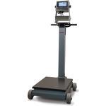 Rice Lake RL1200IS Intrinsically Safe Electromechanical Portable Legal for Trade Beam Scale with 882 Rice Lake RL1200IS Intrin