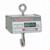 Detecto HSDC-40 Legal for Trade Hanging Scale, 40 x 0.02 lb