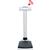 Seca 703  Wireless 360 High Capacity Digital Medical Scale (7031321007) 660 x 0.2 lbs