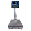 Fairbanks SB10100 SilverBack 12 x 12 in Bench Scale 25 x 0.005 lb Legal for Trade 25 x 0.01 lb Fairbanks SB10100 SilverB