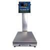 Fairbanks SB10101 SilverBack 12 x 12 in Bench Scale 50 x 0.01 lb Legal for Trade 50 x 0.02 lb Fairbanks SB10101 SilverB