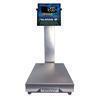 Fairbanks SB10105 SilverBack 15 x 15 in Bench Scale 100 x 0.02 lb Legal for Trade 100 x 0.05 lb Fairbanks SB10105 SilverB
