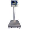 Fairbanks SB10127 SilverBack 18 x 24 in Stainless Steel Bench Scale 250 x 0.05 lb Legal for Trade 25 Fairbanks SB10127 SilverB