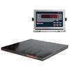 Rice Lake 480-66310 Roughdeck Floor Scale 5 ft x 5 ft Legal for Trade with 480 Indicator - 5000 x 1 Rice Lake 480-66310 Rough