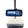 Setra 4091691NN Super II Checkweigher Scale Includes Backlight 110 lb x 0.002 lb Setra 4091691NN Super II