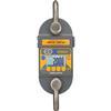 Dillon EDX-Blue-2T EDXtreme Blue Crane Scale (AWT05-509447) 5000 x 1 lbs 