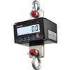 Rice Lake RL101-12k 219147 Compact Digital Below-the-hook Scale 3000 x 1 lb and 3001-6000 x 2 lb and 6001-12000 x 5 lb