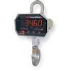 MSI MSI-3460C250RF CHALLENGER 3 Crane Scale Legal For Trade With RF modem 250 x 0.1 lb MSI MSI-3460C250RF CHALLE