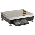 Pennsylvania Scale 7600+ Legal for Trade Bench Scales 7600+ Scale
