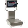 Rice Lake CW-90B-480Plus 201164 Legal for Trade 10 x 10 inch Bench Scale with 12 in Column 10 x 0.00 Rice Lake CW-90B-480Plus