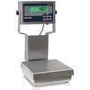 Rice Lake CW-90B-482Plus 201545 IP69K base Legal for Trade 12 x 12 inch Bench Scale with 12 in Colum Rice Lake CW-90B-482Plus