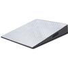 Rice Lake 43377 500 - 1000 lb Ramp for DeckHand Stainless Steel 25 x 27 inch