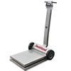 Rice Lake 41296-380 Stainless Steel Deckhand Legal For Trade Portable Bench Scale with 380 Synergy Indicator 500 x 0.2 lb