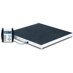 Detecto 6800